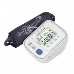 Electronic blood pressure monitor for the elderly