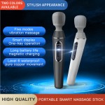 Handheld Massage Stick