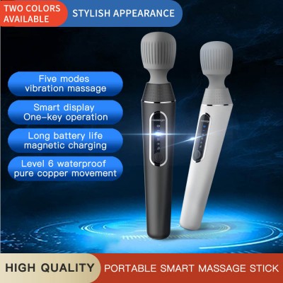 Handheld Massage Stick
