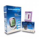 Home blood glucose meter