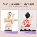 Hot Massage Belt
