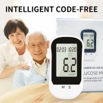 Intelligent Blood Glucose Meter