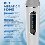 Multi-function electric back massager