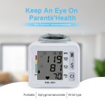 Wrist Speech Blood Pressure Monitor